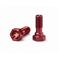 KIT DE 2 TORNILLOS - BOMBA Y MORDAZA 10X1.25 - RACELINE