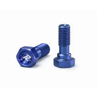 KIT DE 2 TORNILLOS - BOMBA Y MORDAZA 10X1.25 - RACELINE