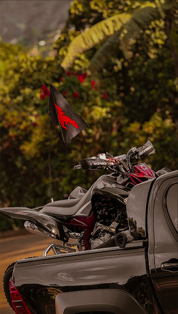 RAPTOR 700 EDICIÓN ESPECIAL
